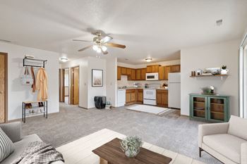 Ceiling fan